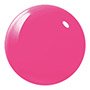 the fuchsia is bright