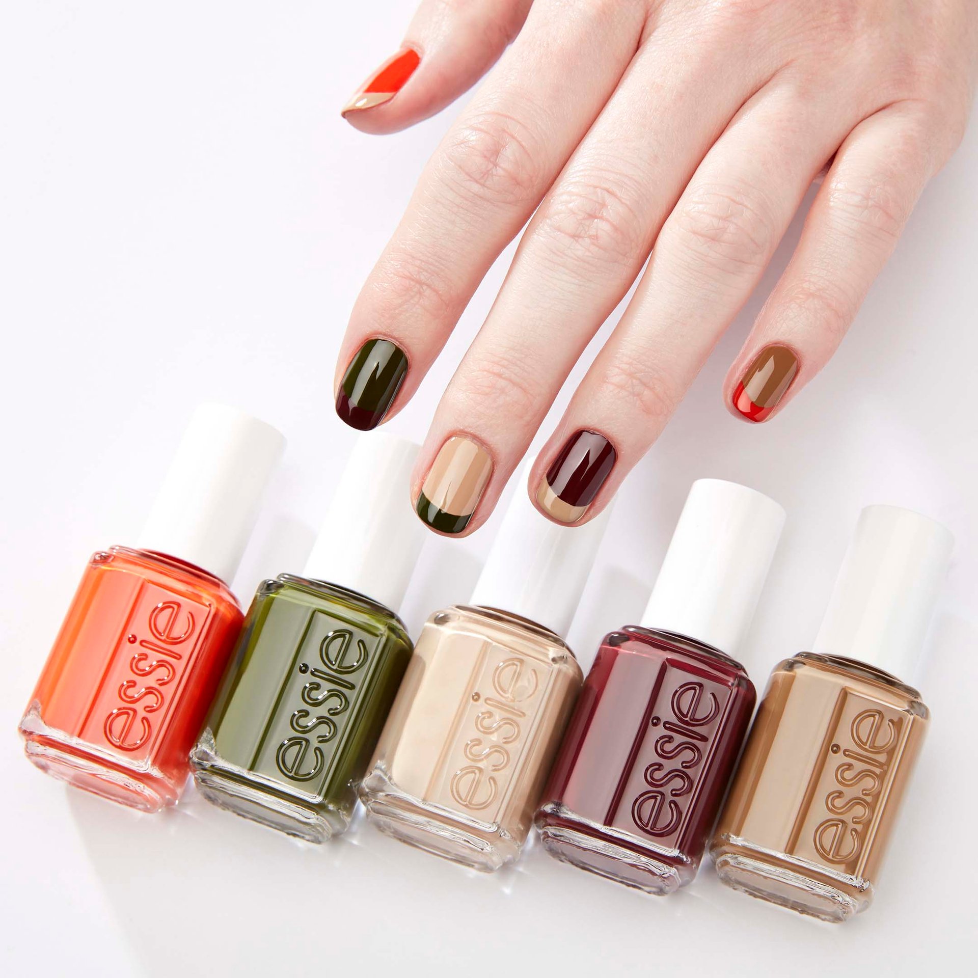 trailblazing french trailblazing french