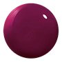 graced in garnet