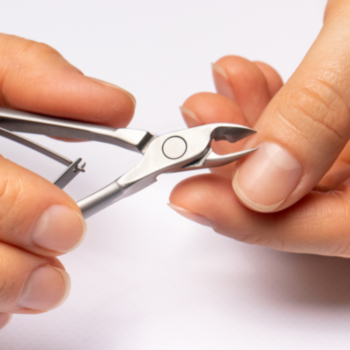 what is a cuticle?