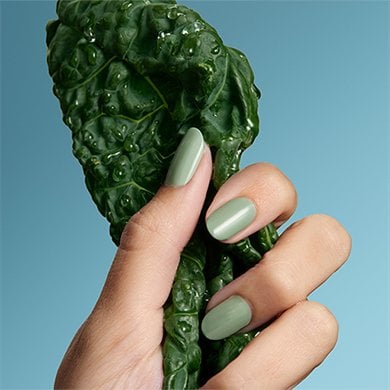 light skin hand wearing light green nail polish holding a leaf of dark green dinosaur kale