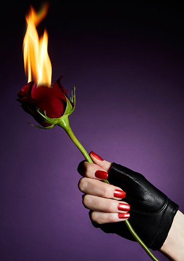 a hand with red painted nails and a leather glove holding a stemmed red rose that is on fire with a dark purple background